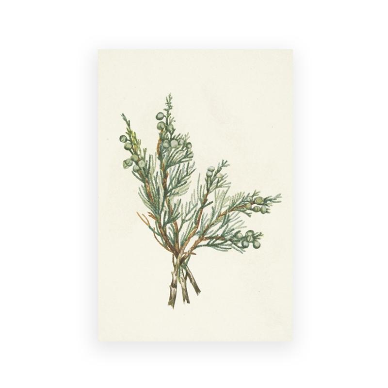 Christmas Gallery Wall Art Prints Rustic Winter Oil Painting Canvas Poster Holiday Decorative Wall Pictures Farmhouse Wall Decor