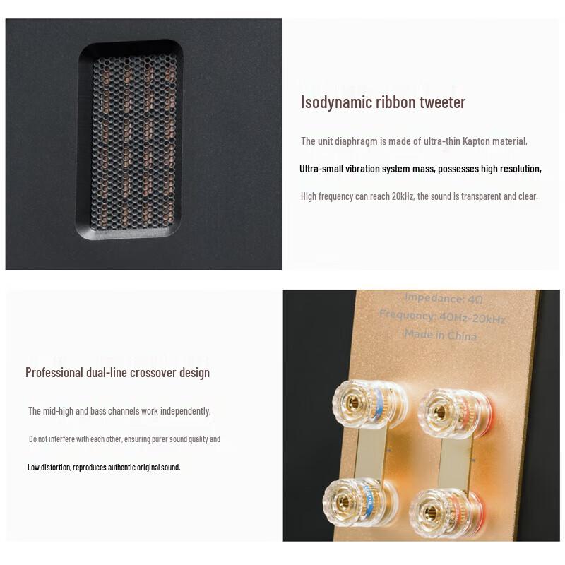 HiVi M3 Plus Bookshelf Speaker with Diva Stand CN Plug (adapter Included)