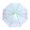 Rain Umbrella Transparent Umbrella Transparent Folding Umbrella Fashionable Princess Umbrella Cherry Blossom Four Colors