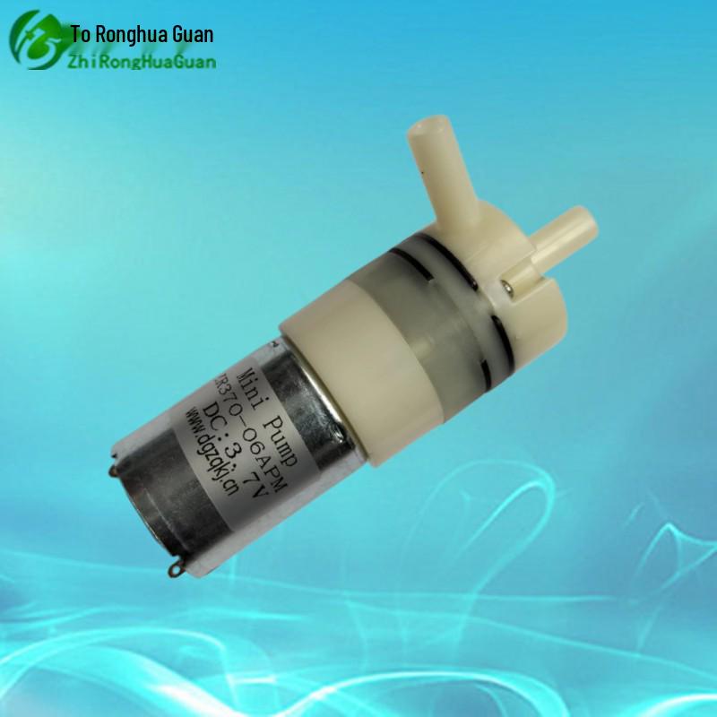 Ronghuaguan Miniature Diaphragm Self-Priming Water Pump 12V/24V DC