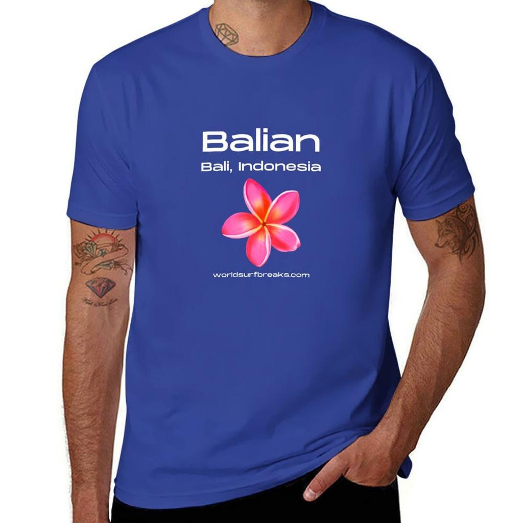 Balian Bali Indonesia Surf Break Tshirt Animal Prinfor Boys Oversizeds Black T Shirts for Men