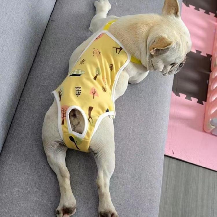 Cotton Dog Period Underwear For Female Pet Easy To Clean And Odor Control