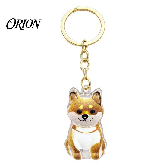 Pet Loss Sympathy Gift Hair Memorial Keychain, Dog Keepsake Holder, Transparent Jewelry Bottle Pendant, Portable Commemorative Charm for Keys