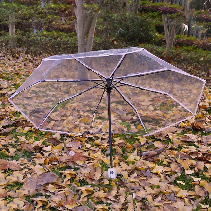 Dual-Use Automatic Transparent POE Umbrella - Xiaohongshu Style with Cats and Dogs Design
