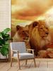 Wallpaper Cats Pair of Lions Animals
