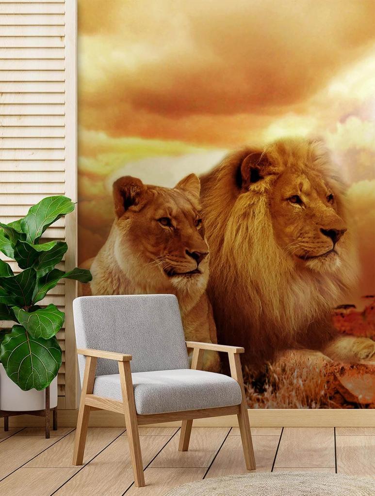 Wallpaper Cats Pair of Lions Animals