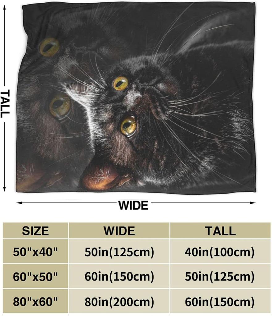 Black Cat Throw Blanket Soft Cozy Plush Warm Fleece Blanket for Sofa Couch Bed