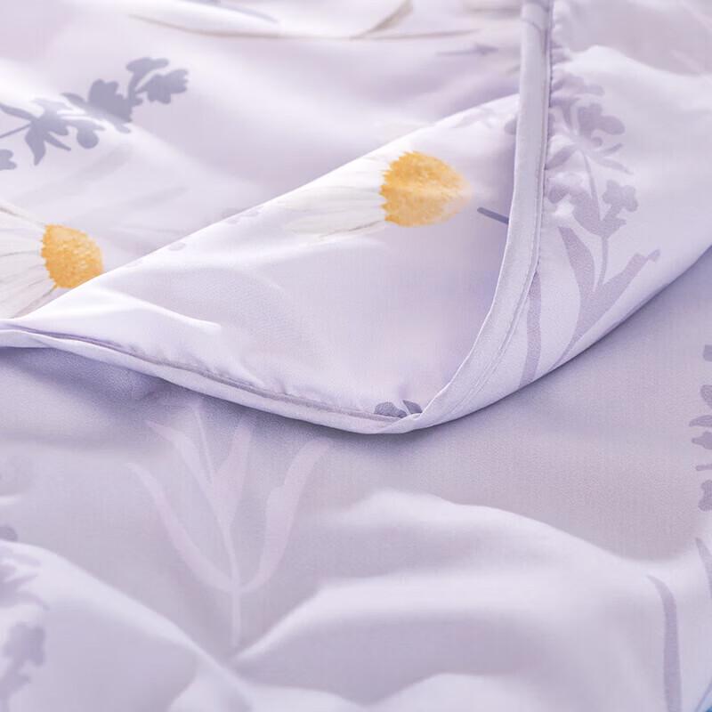 Hengyuanxiang HYX187BZ-DZ Antibacterial Cooling Soybean Summer Comforter