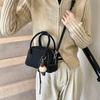 Small bag women's autumn and winter new versatile shoulder messenger bag fashionable and popular portable pillow bag