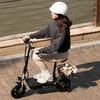 iScooter F2 Electric Scooter with Seat, 500W Motor, 30km Range, 10" Tires, Foldable Design for Commuting