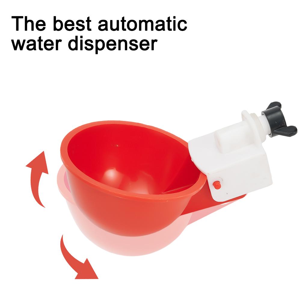 Cups Chicken Waterer All Poultry Automatic Drinker Chicken