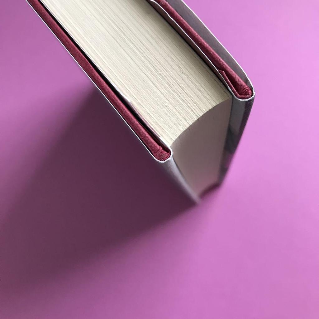 [USED] THE CUT OUT GIRL by Bert Van Es