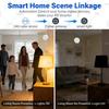 Mini Zigbee Human Presence Sensor 24G Mmwave Radar Detector Occupancy Sensor,Static/Motion Detect,For Tuya Home Assistant Z2MQTT