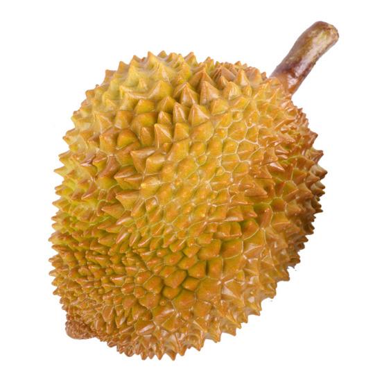 Durianmodell Falsk durian-dekorasjon Falsk durian-figur Kunstig fruktrekvisitt for Fruktbutikker Supermarkeder Utstilling