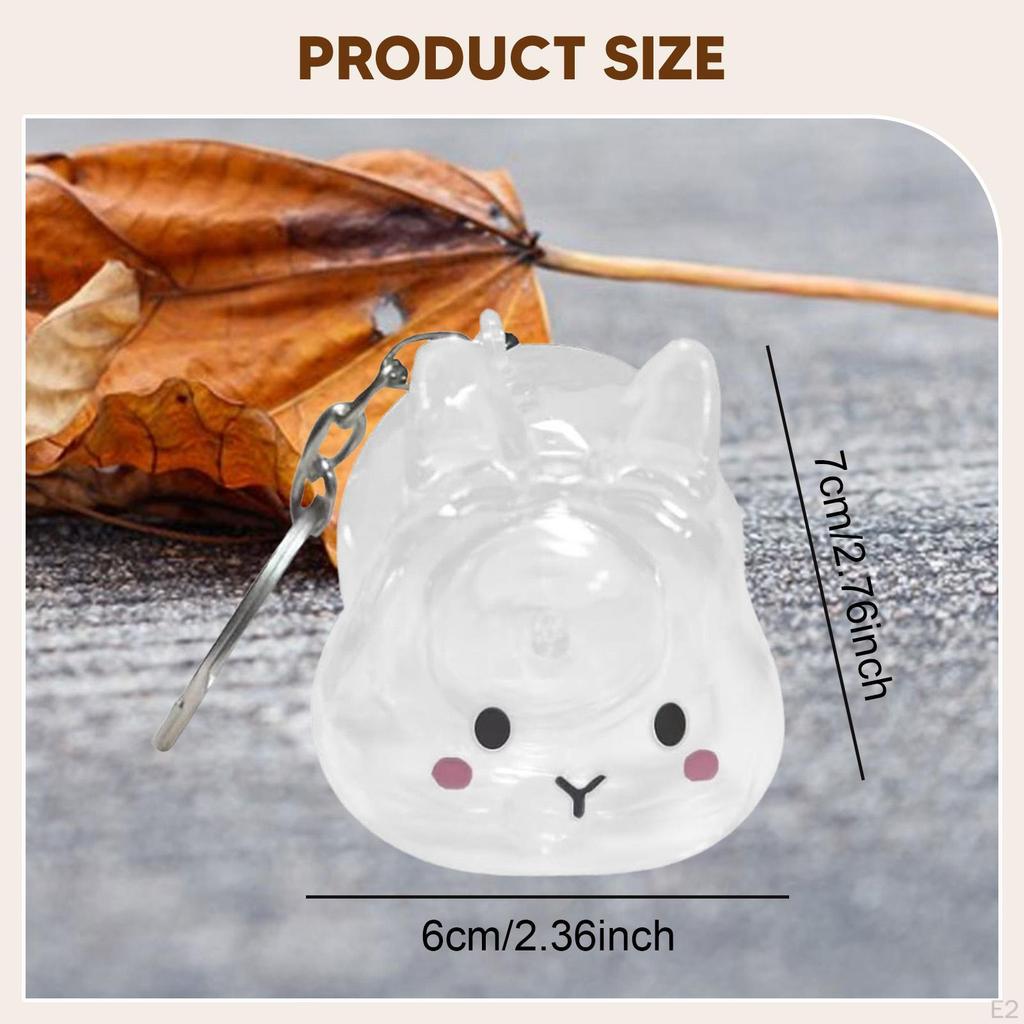 Collector Keyring for Pet Lovers Hair Holder Memorial Storage Box