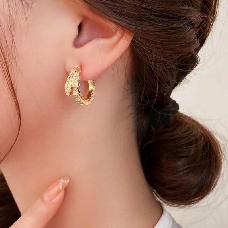 Luxurious Fashionable Super Sparkling Snake Form Hoop Earrings For Women High End Design Sensibility Niche Trendy Web Earrings