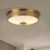 Modern minimalist circular ceiling light LED living room bedroom ceiling light dining room bedroom corridor lighting fixture
