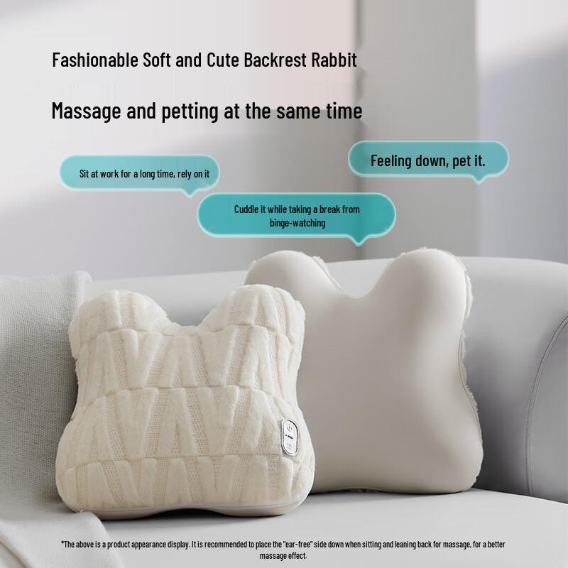 Philips Waist  & Body Massager Pillow