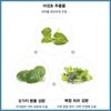 [Abib] Mild Acidic pH Sheet Mask Heartleaf Fit 30ml 10Sheet