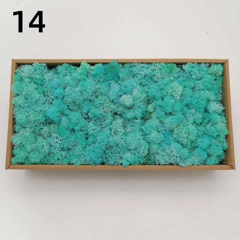 Neue 50/30/10g Künstliche Grüne Pflanzen Ewiges Leben Moos Gras Heim Garten Dekoration Mini Landschaft Künstliche Blume DIY Bastelgeschenke