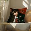 Singer Ari Abdul Pillow Case Silky Elegant Comfort Sofa Bed Invisible Zipper