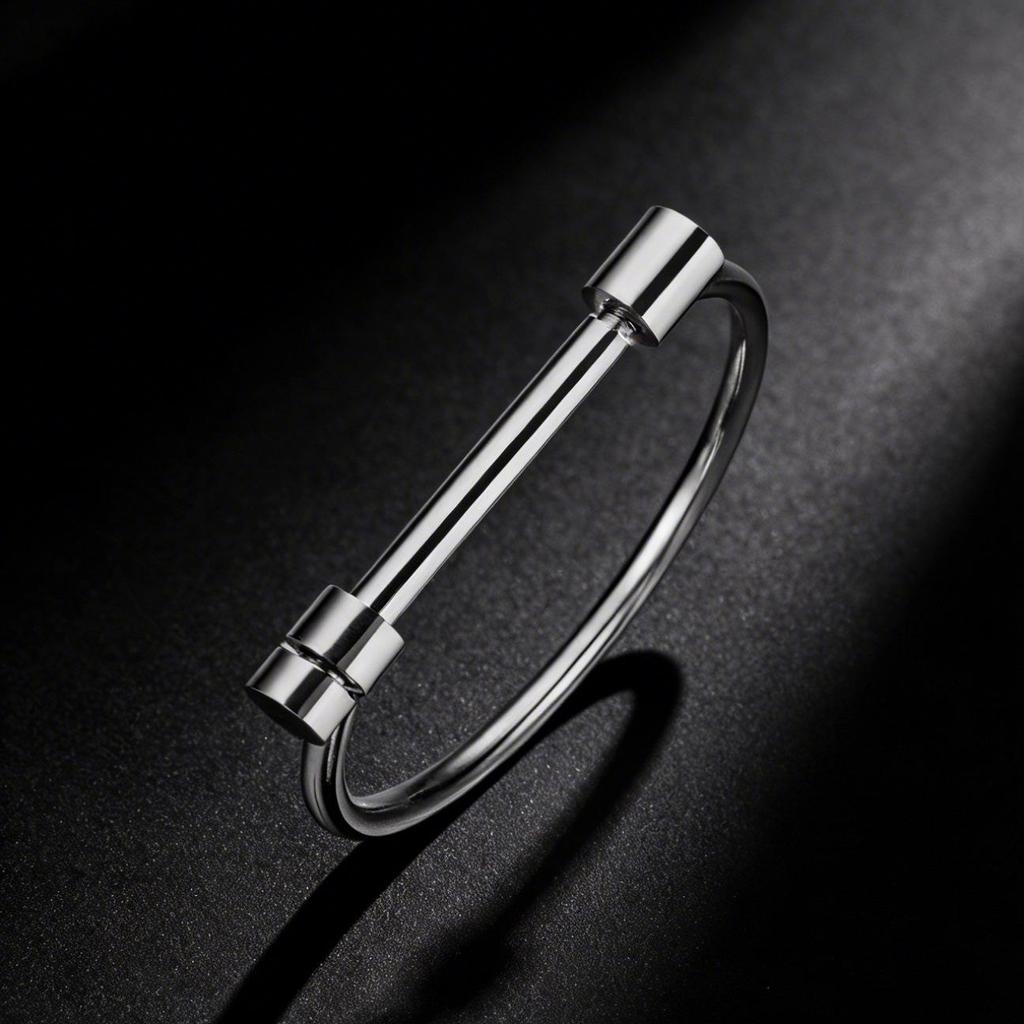 Women's Light Luxury Stainless Steel Horseshoe Bracelet - Non-fading, Simple, Versatile Fashion Wristband, European and American Style.