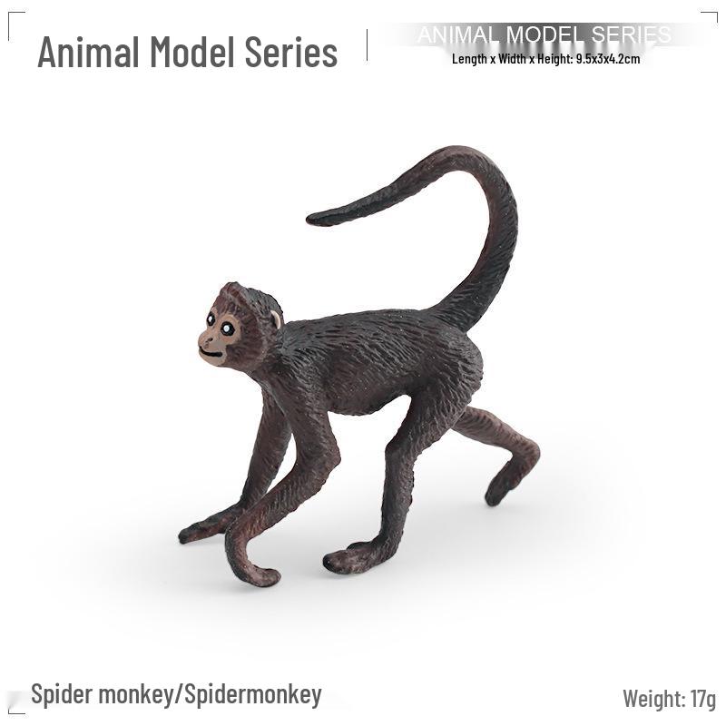 Exotic Primate Cognitive Simulation Animal Model