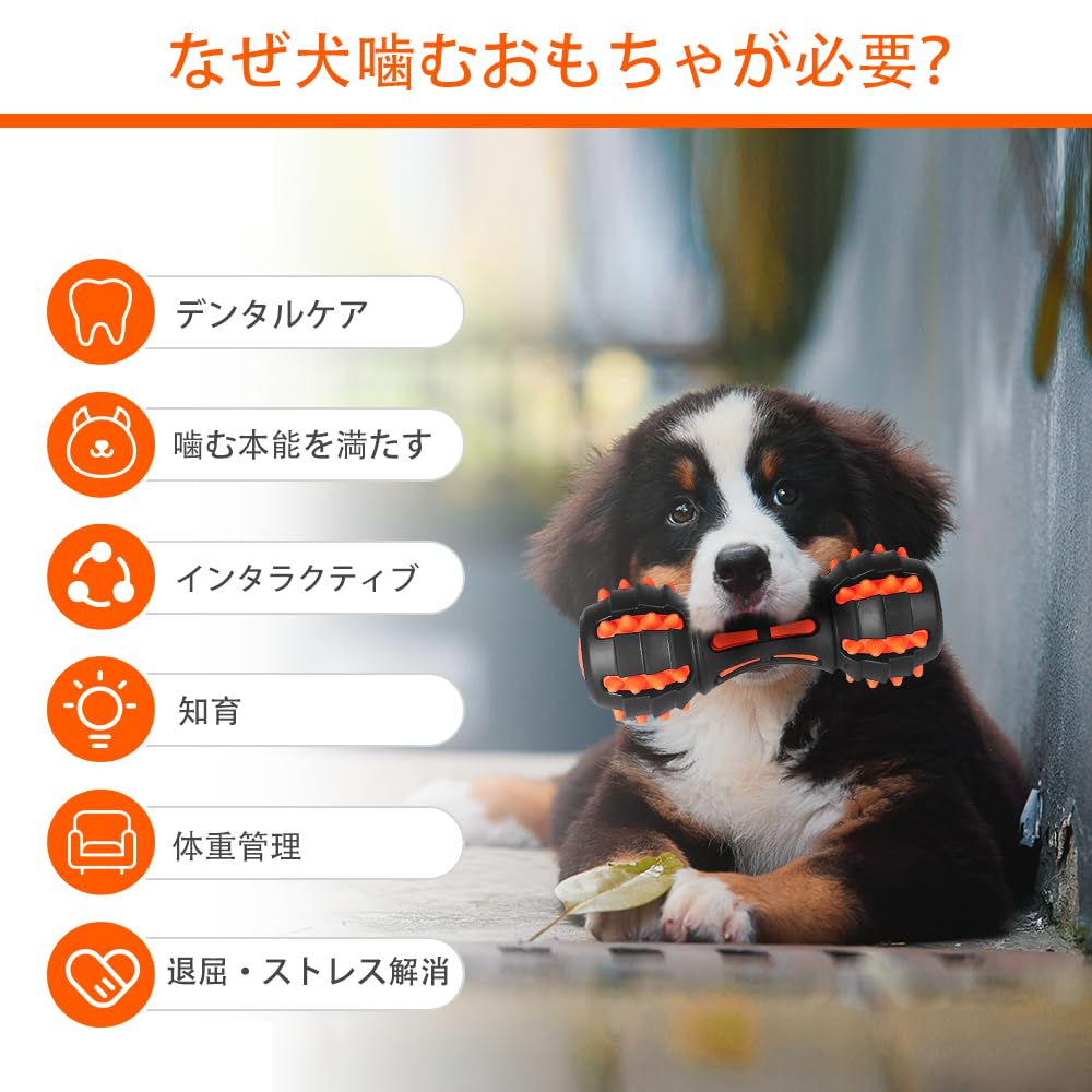 AUSCAT Dog Teeth Dental for Large and Medium Dumbbell Set of 2 Toy, Chew, Brush, Toy, Durable, Sound-Proof, Dogs,