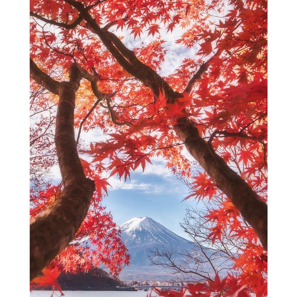 Pyramid International Mount Fuji Canvas Print