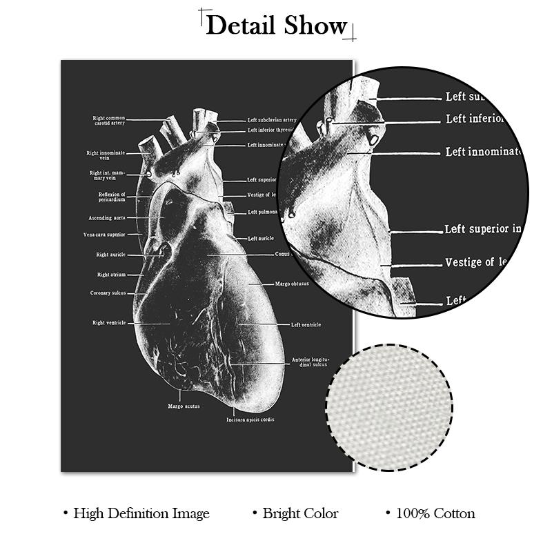 Anatomy Muscle Bone Black and White Canvas Painting Skeleton Organ Wall Art Modern Pictures Posters for Doctor Office Home Decor