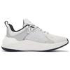 Li Ning Spark Trendy Rebound Low top Sports Casual Shoes Men's White Silver AGLS061-2