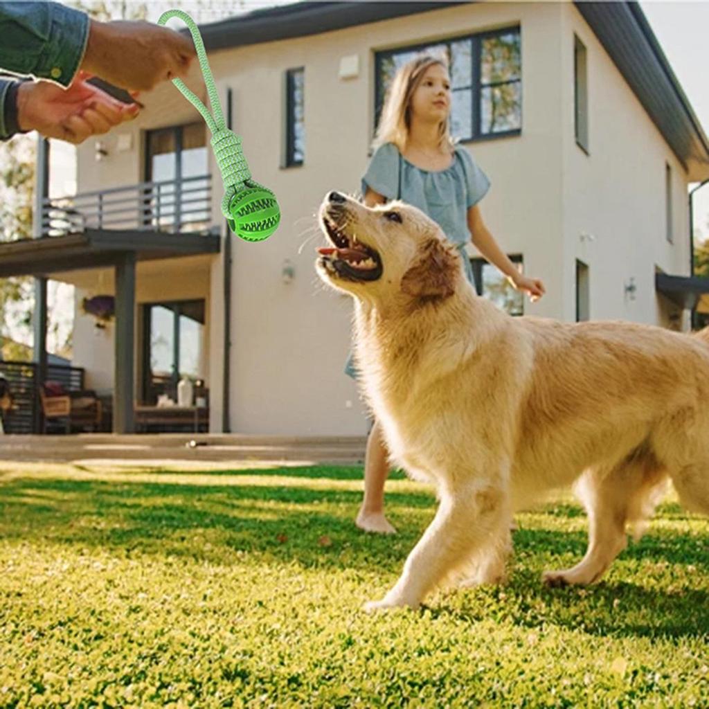 Interactive Dog Teething Toy: Tug-of-War Rope with Bite Ball and Night Light, for Indoor or Outdoor Play