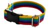 Dog Collar 2 cm with Buckle Adjustable Rainbow Fasten Dog Collar 2 cm with Buckle Adjustable Rainbow Fasten S: 26-35cm