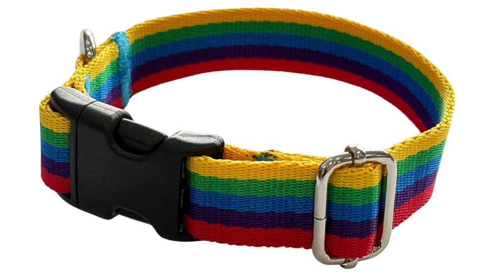 Dog Collar 2 cm with Buckle Adjustable Rainbow Fasten Dog Collar 2 cm with Buckle Adjustable Rainbow Fasten S: 26-35cm