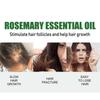 3PC Rosemary Essential Oil Refreshing Nourishing Soft Hair Thick Hair Care Scalp