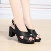 New Roman High Heel Sandals Summer Women Waterproof Platform Thick Heel Sandals Thick Sole Two-Wear Mother's Shoes Comfortable