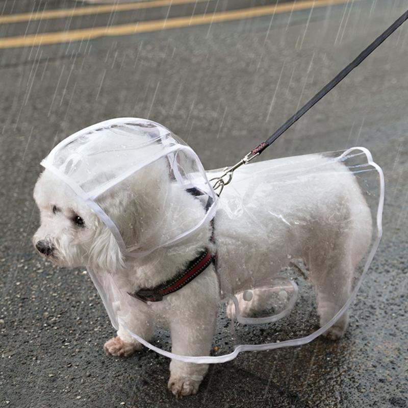 Transpicuous Recyclable Dog Rainwear With Easy Snap Conclusion Generous For Active Animals In Wet Weather