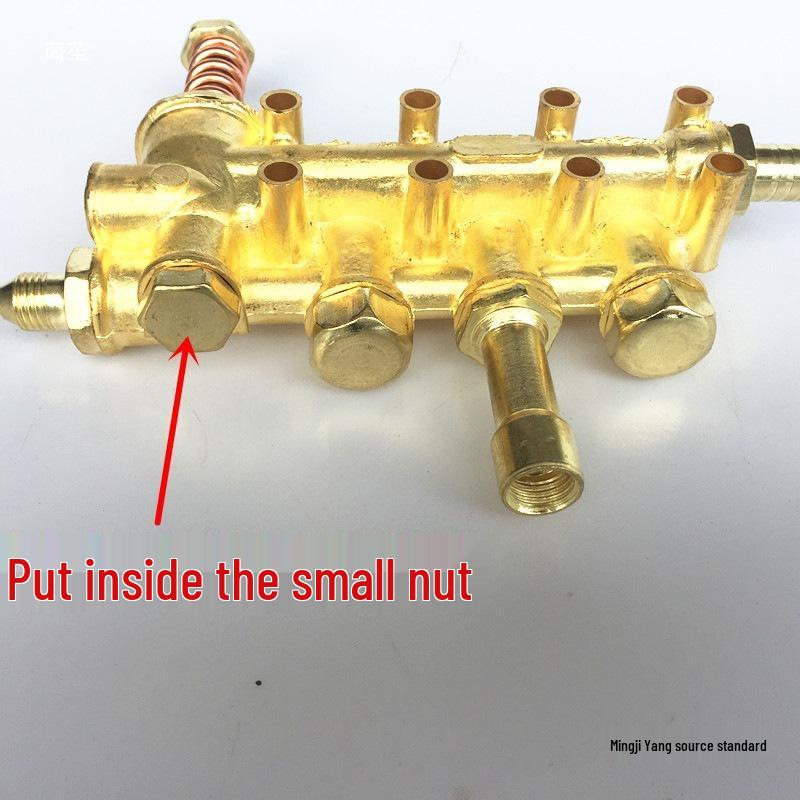 Shenlong Black Cat QL280/380 High-Pressure Car Washer 220V Spring