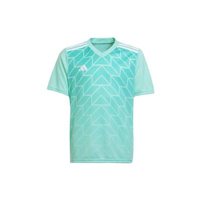 Adidas Team Icon 23 Jersey Asia Sizing 'Clear Mint' Men's IC1252