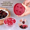 Entkerner Werkzeuge Kunststoff Kirschentkerner Tragbar Abnehmbar Fruchtentkerner Vier Löcher Praktischer Olivenentkerner Lebensmittelzubereitung