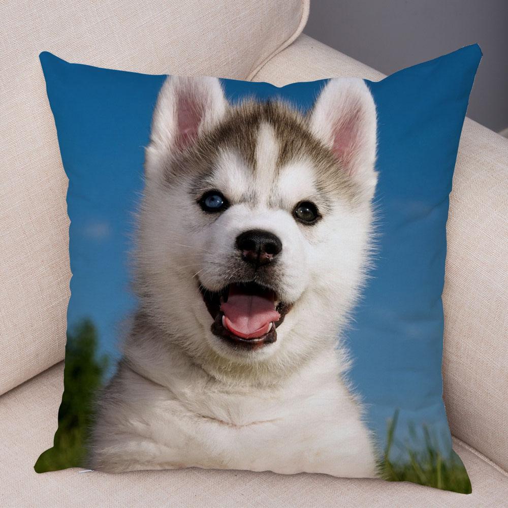Decor Cute Siberian Husky Pillowcase Pet Dog Printed Super Soft Short Plush Pillow Case 45*45cm Animal Cushion Cover for Sofa