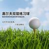 Golf Zweischichtiger Übungsball Sarin Ball Gummiball Golf Zweischichtiger Übungsball
