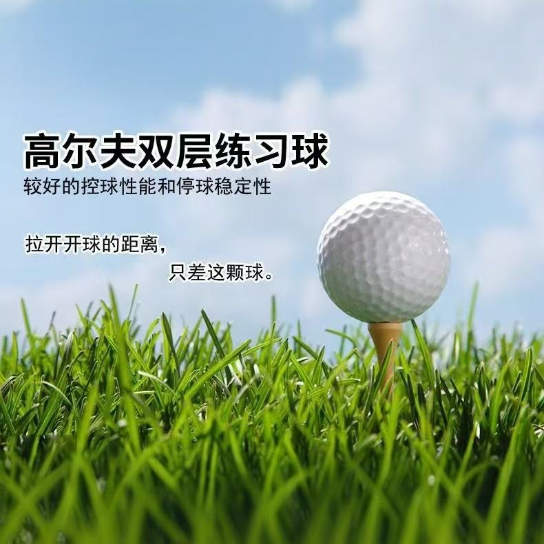 Golf Zweischichtiger Übungsball Sarin Ball Gummiball Golf Zweischichtiger Übungsball