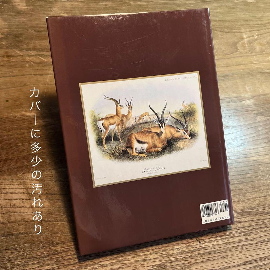 [USED] CLASSIC NATURAL HISTORY PRINTS MAMMALS
