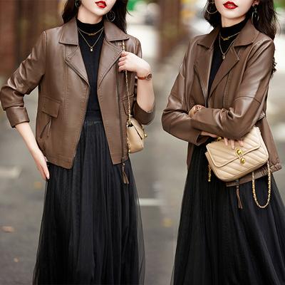 מעיל עור עם דשי צווארון רפויים, צבע מאיארד רב-תכליתי ואלגנטי