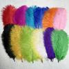 50pcs/lot  Black Ostrich Feathers 6-14 Inch 15-40cm for Wedding Decor Craft  Handicraft Accessories Table Centerpieces Carnival