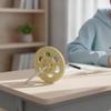 Wheel and Axle Model Educational Demonstrator STEM Physics for Teachers,