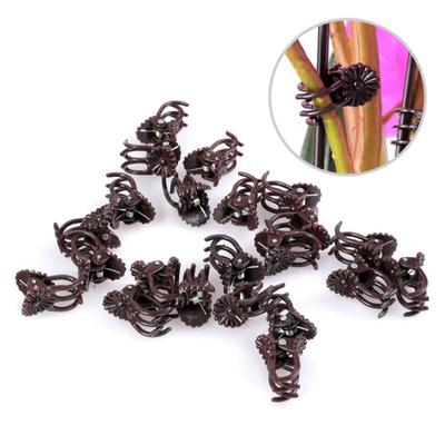 50Pcs Orchid Clips Plant Support Clips Plastic Gardening Fixing Clip for Phalaenopsis Tomatoes Peonies Vine Plants Support Shaping