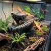 Non-Toxic Artificial Rock Cave Sturdy Reptile Hiding Cave Shelter Cave  Terrarium Decor