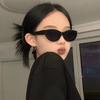 Cat Eye New Oval Sunglasses Personalized Vintage Fashion Trendy Female Girls Shades Popular Brand Designer Eyewear Lentes